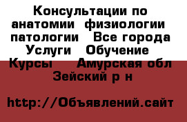 Консультации по анатомии, физиологии, патологии - Все города Услуги » Обучение. Курсы   . Амурская обл.,Зейский р-н